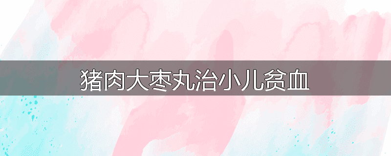 猪肉大枣丸治小儿贫血