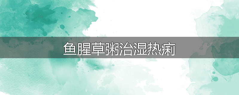 鱼腥草粥治湿热痢