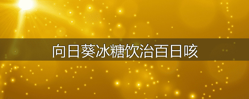 向日葵冰糖饮治百日咳