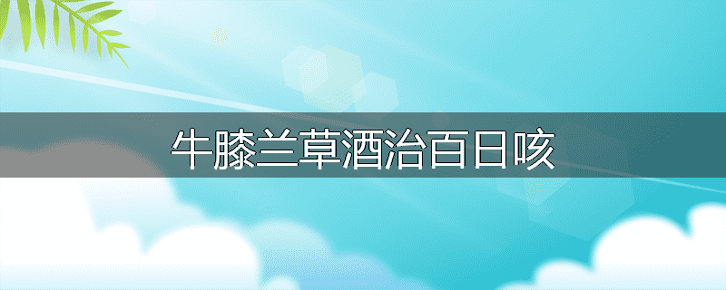 牛膝兰草酒治百日咳