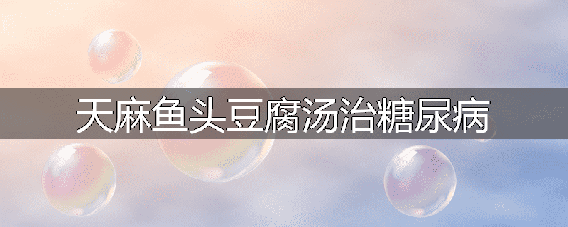 天麻鱼头豆腐汤治糖尿病