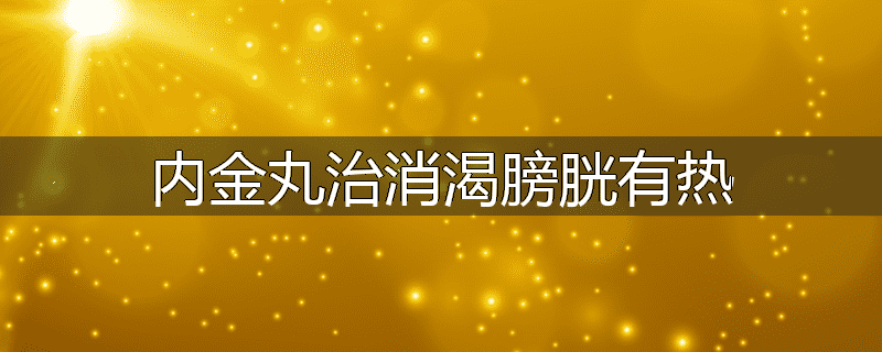 内金丸治消渴膀胱有热