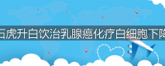 石虎升白饮治乳腺癌化疗白细胞下降