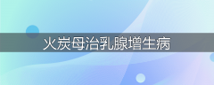 火炭母治乳腺增生病
