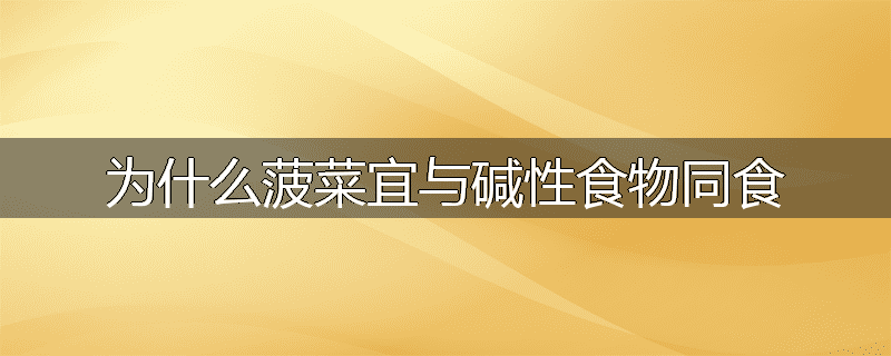 为什么菠菜宜与碱性食物同食