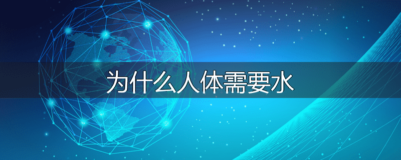 为什么人体需要水