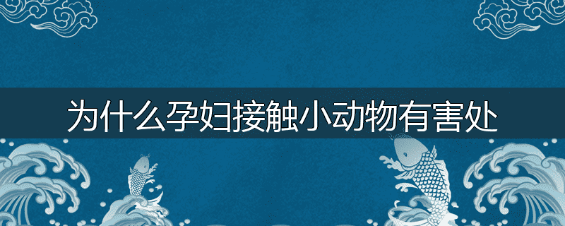 为什么孕妇接触小动物有害处