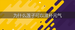 为什么莲子可以滋补元气