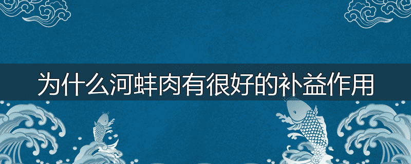 为什么河蚌肉有很好的补益作用