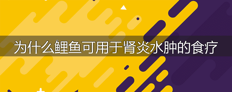 为什么鲤鱼可用于肾炎水肿的食疗