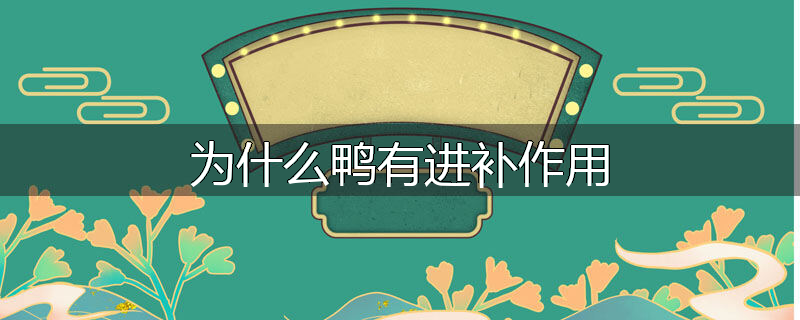 为什么鸭有进补作用