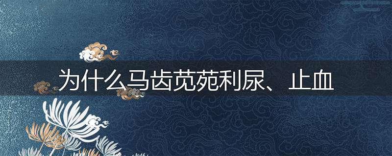 为什么马齿苋苑利尿、止血