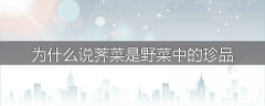 为什么说荠菜是野菜中的珍品