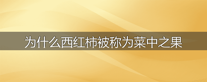 为什么西红柿被称为菜中之果