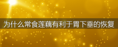 为什么常食莲藕有利于胃下垂的恢复