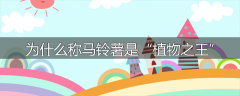 为什么称马铃薯是“植物之王”