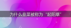 为什么韭菜被称为“起阳草”