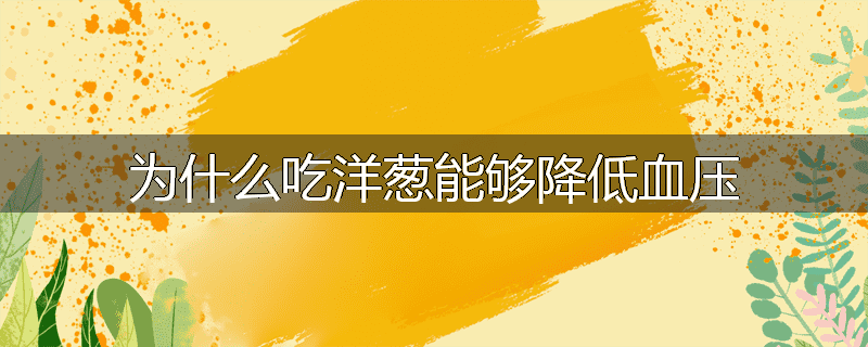 为什么吃洋葱能够降低血压