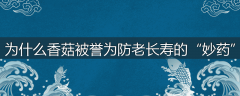 为什么香菇被誉为防老长寿的“妙药”