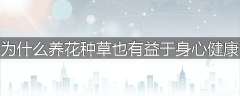 为什么养花种草也有益于身心健康