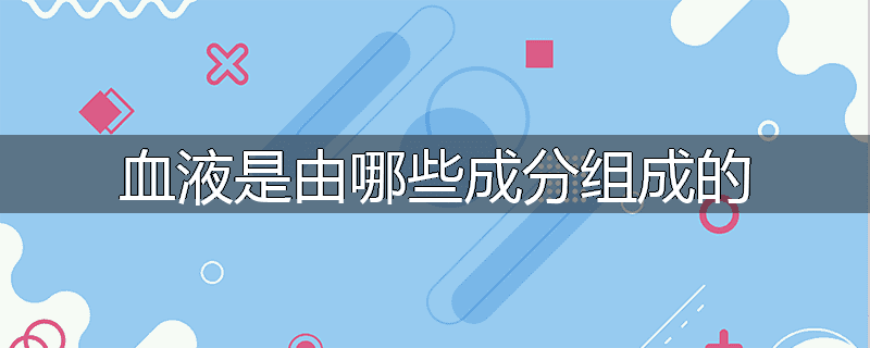 血液是由哪些成分组成的
