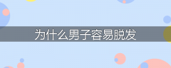 为什么男子容易脱发