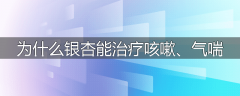 为什么银杏能治疗咳嗽、气喘