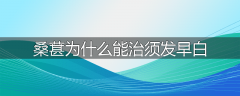 桑葚为什么能治须发早白
