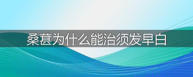 桑葚为什么能治须发早白