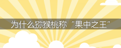 为什么猕猴桃称“果中之王”