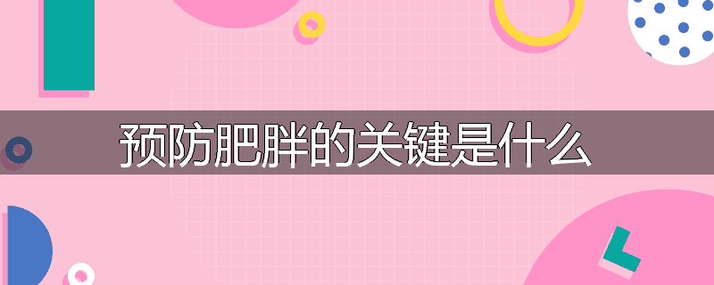 预防肥胖的关键是什么