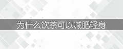 为什么饮茶可以减肥轻身