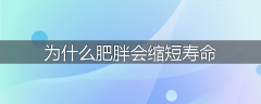 为什么肥胖会缩短寿命