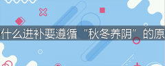为什么进补要遵循“秋冬养阴”的原则