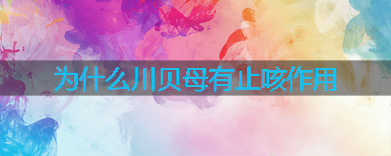 为什么川贝母有止咳作用