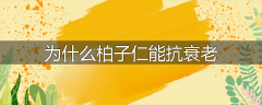 为什么柏子仁能抗衰老