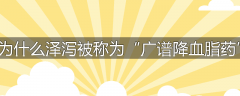 为什么泽泻被称为“广谱降血脂药”