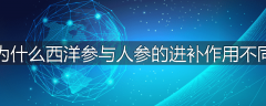 为什么西洋参与人参的进补作用不同