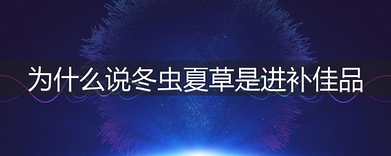 为什么说冬虫夏草是进补佳品