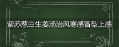 紫苏葱白生姜汤治风寒感冒型上感