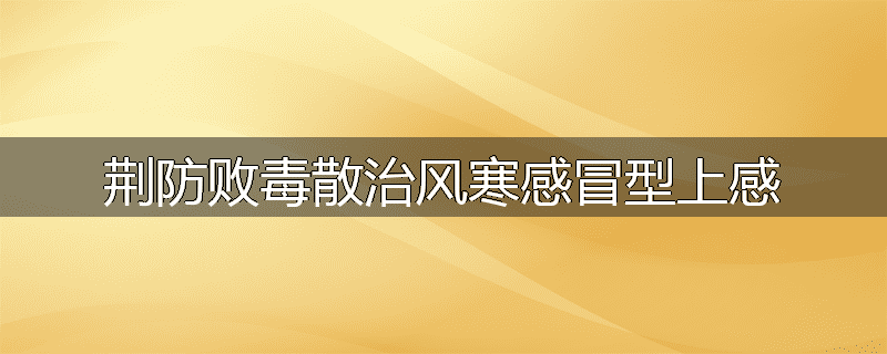 荆防败毒散治风寒感冒型上感