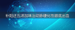 补阳还五汤加味治动脉硬化性眼底出血