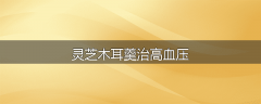 灵芝木耳羹治高血压