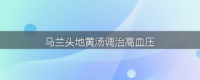 马兰头地黄汤调治高血压