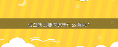 蛋白质主要来源于什么食物？