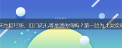 消化性溃疡、肥大性幽门狭窄、先天性巨结肠、肛门无孔等是遗传病吗？第一胎为此类疾病患儿的父母可以申请生第二胎吗？