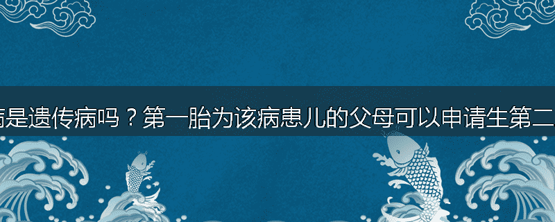 癫痫病是遗传病吗?第一胎为该病患儿的父母可以申请生第二胎吗?