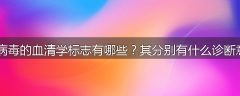 乙肝病毒的血清学标志有哪些?其分别有什么诊断意义?