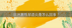 非淋菌性尿道炎是怎么回事？