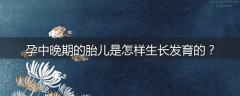 孕中晚期的胎儿是怎样生长发育的？
